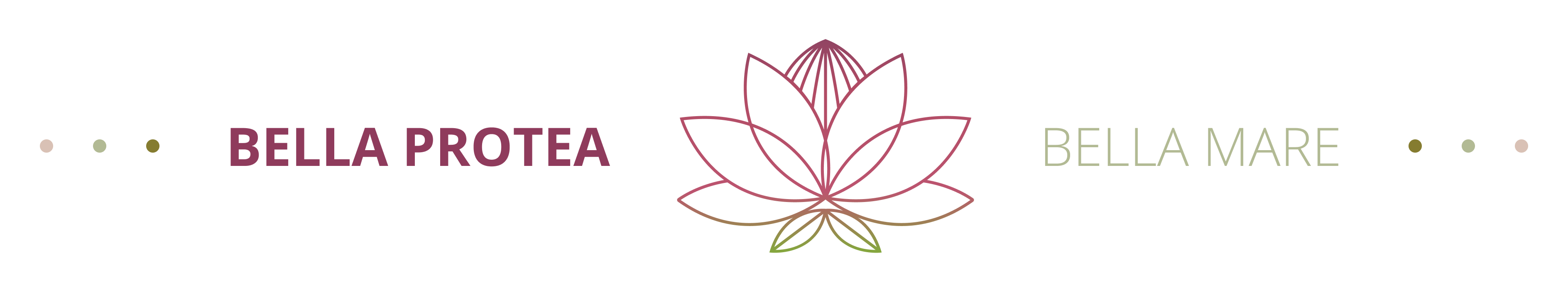 Protea Bellamare